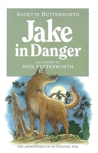 Jake in Danger (Story Books) (9780340733097) by Annette Butterworth