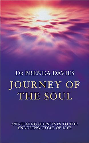 Beispielbild fr Journey of the Soul zum Verkauf von Better World Books