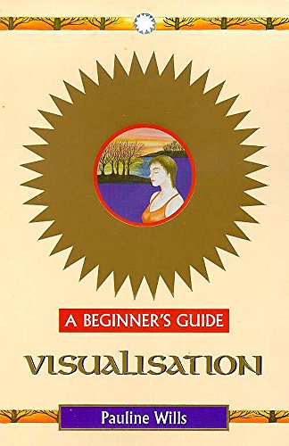 Imagen de archivo de Visualisation - A Beginner's Guide a la venta por WorldofBooks
