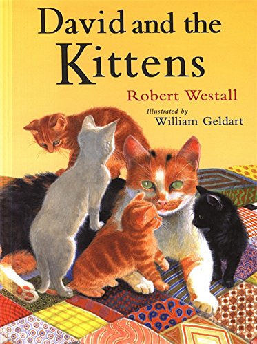 Stock image for David and the Kittens for sale by WorldofBooks
