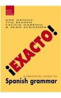 Stock image for !Exacto! : A Practical Guide to Spanish Grammar (Arnold Concise Grammars) for sale by PsychoBabel & Skoob Books