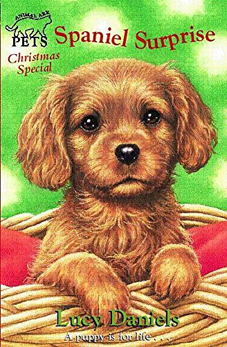 Stock image for Animal Ark Pets Christmas Special 3: Spaniel Surprise: 15 for sale by WorldofBooks