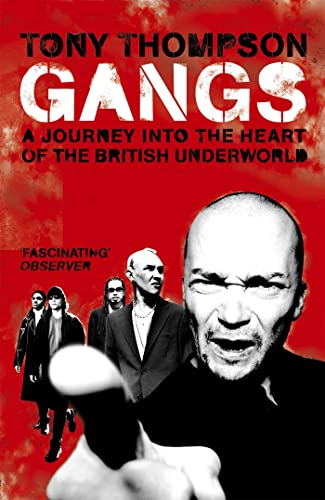 9780340830536: Gangs: A Journey into the Heart of the British Underworld