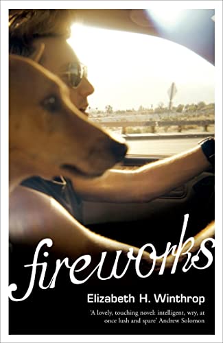 Stock image for Fireworks for sale by Blackwell's