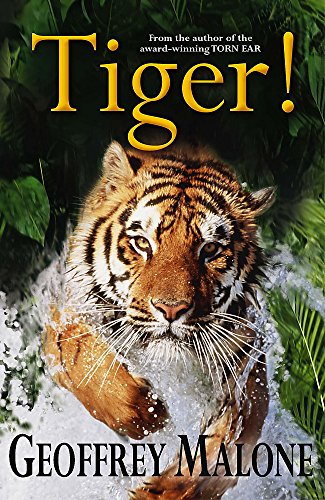 Beispielbild fr 8: Tiger (Stories from the Wild) zum Verkauf von WorldofBooks