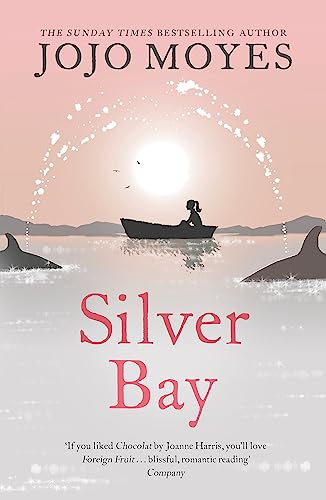 9780340895931: Silver Bay: 'Surprising and genuinely moving' - The Times