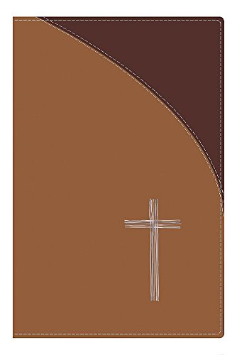 TNIV Personal Tan Soft-Tone (9780340908891) by International Bible Society