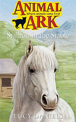 Racehorse in the Rain (Animal Ark Holiday Special #17) (9780340910801) by Lucy Daniels