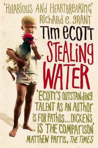 Stock image for Stealing Water for sale by WorldofBooks