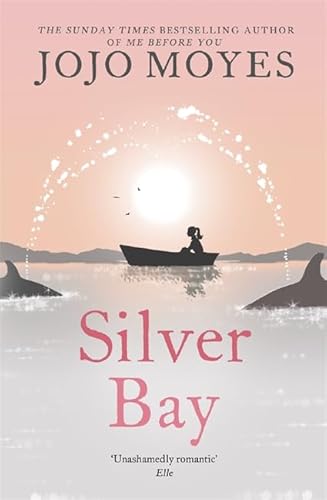 9780340936733: Silver Bay