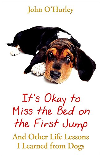 It's Okay to Miss the Bed on the First Jump and Other Life Lessons I learned from Dogs.