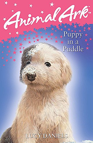 Stock image for Puppy in a Puddle (Animal Ark) for sale by Reuseabook