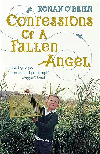 9780340952450: Confessions of a Fallen Angel