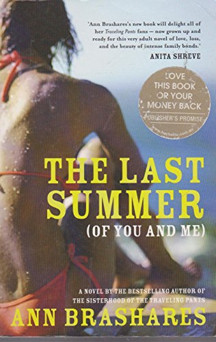 9780340953464: The Last Summer: Of You and ME