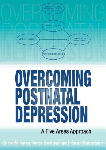 Imagen de archivo de Overcoming Postnatal Depression a Five Areas Approach a la venta por Better World Books Ltd