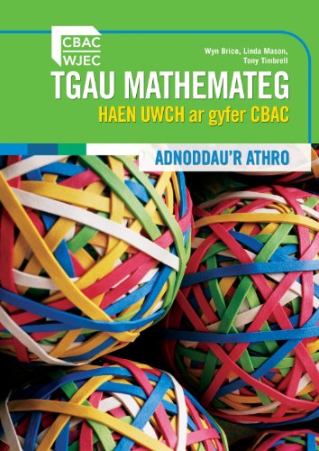 Stock image for Wjec Higher Mathematics Teachers Guide for sale by Revaluation Books