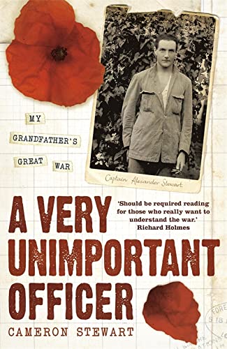 Stock image for A Very Unimportant Officer: Life and Death on the Somme and at Passchendaele for sale by Chiron Media
