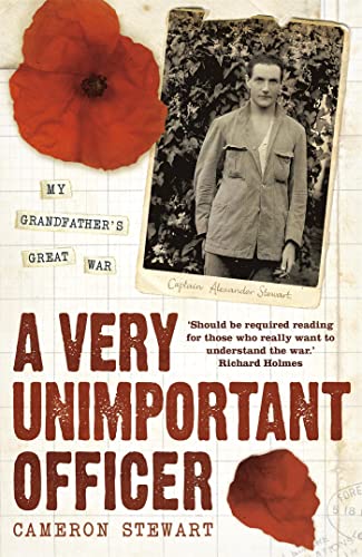 Stock image for A Very Unimportant Officer: Life and Death on the Somme and at Passchendaele for sale by AwesomeBooks