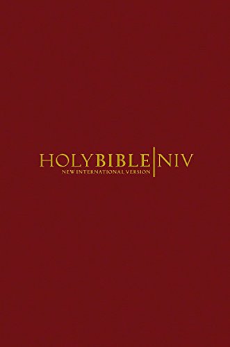 9780340979549: NIV Popular Burgundy Hardback Bible (Bible Niv)