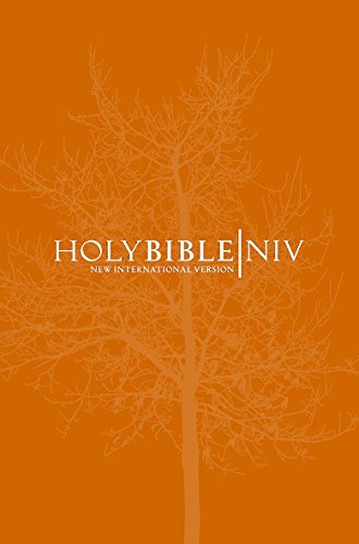 Stock image for NIV Popular Bible: New International Version (Bible Niv) for sale by Greener Books