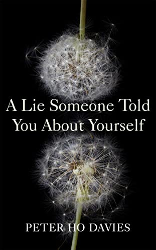 Imagen de archivo de A Lie Someone Told You About Yourself a la venta por WorldofBooks