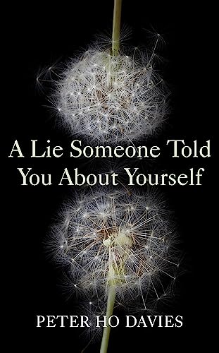 Stock image for A Lie Someone Told You About Yourself for sale by Blackwell's