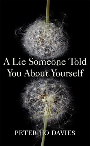 9780340980279: A Lie Someone Told You About Yourself
