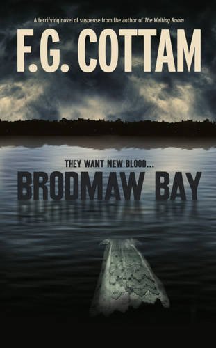 Stock image for Brodmaw Bay for sale by SecondSale