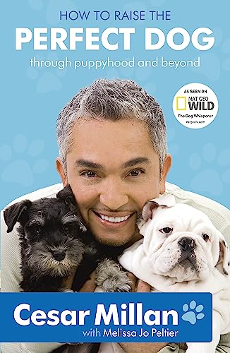 Beispielbild fr How to Raise the Perfect Dog: Through Puppyhood and Beyond. Cesar Millan with Melissa Jo Peltier zum Verkauf von SecondSale