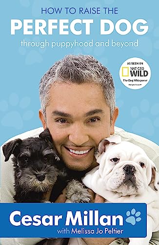 Stock image for How to Raise the Perfect Dog: Through Puppyhood and Beyond. Cesar Millan with Melissa Jo Peltier for sale by SecondSale