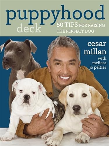 9780340993088: Puppyhood Deck: 50 tips for raising the perfect dog