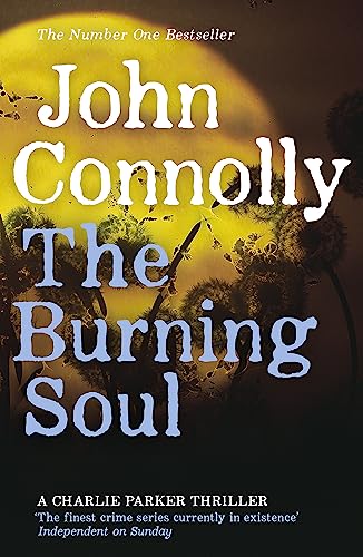 9780340993552: The Burning Soul: A Charlie Parker Thriller: 10