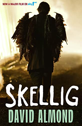 Imagen de archivo de Skellig a la venta por SecondSale