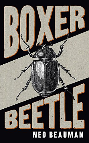 9780340998403: Boxer, Beetle