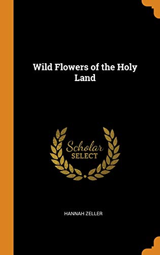 9780342029013: Wild Flowers of the Holy Land