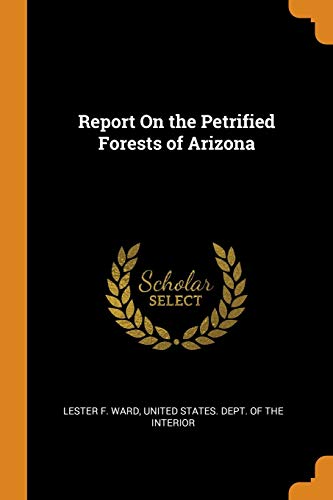 9780342483303: Report On the Petrified Forests of Arizona