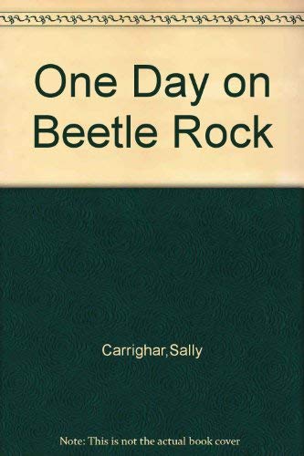 Imagen de archivo de One Day on Beetle Rock a la venta por ThriftBooks-Atlanta