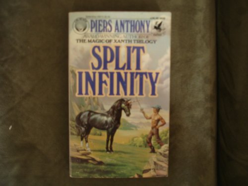 Stock image for Split Infinity for sale by Better World Books: West