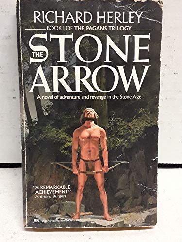 Imagen de archivo de The Stone Arrow a la venta por ThriftBooks-Dallas