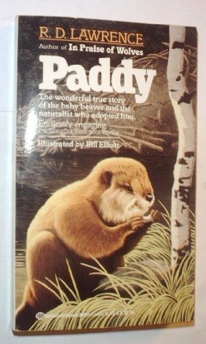 Imagen de archivo de Paddy a la venta por Wonder Book