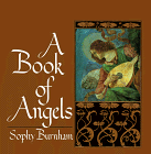 Stock image for A Book of Angels for sale by Jenson Books Inc