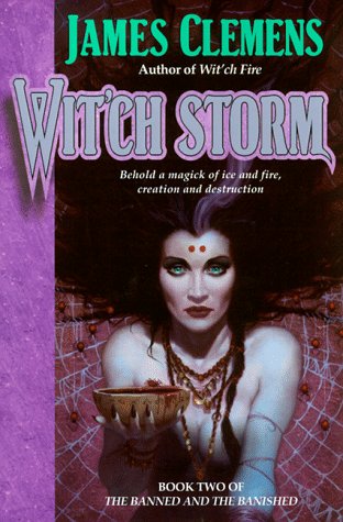 Stock image for Wit'ch Storm: Book Two of the Banned and the Bannished for sale by ThriftBooks-Atlanta