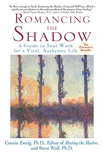 Beispielbild fr Romancing the Shadow: A Guide to Soul Work for a Vital, Authentic Life zum Verkauf von HPB-Ruby