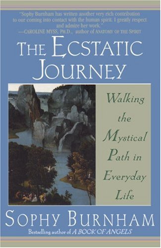 Beispielbild fr The Ecstatic Journey : Walking the Mystical Path in Everyday Life zum Verkauf von Better World Books