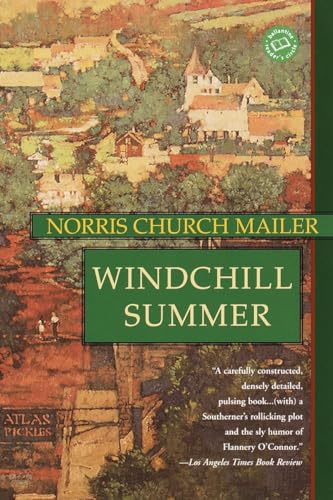 Imagen de archivo de Windchill Summer : A Novel a la venta por Better World Books: West