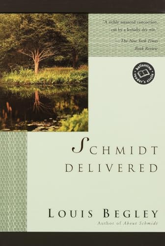 Beispielbild fr Schmidt Delivered : A Novel zum Verkauf von Better World Books