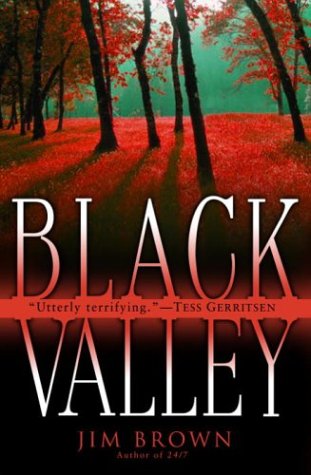 9780345446992: Black Valley