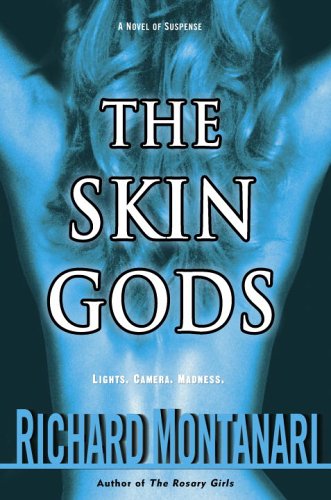 Stock image for The Skin Gods: A Novel of Suspense for sale by SecondSale
