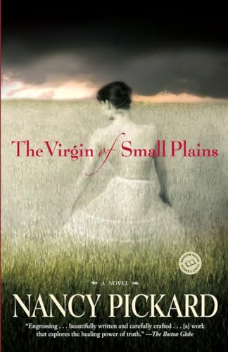 Beispielbild fr The Virgin of Small Plains: A Novel zum Verkauf von SecondSale