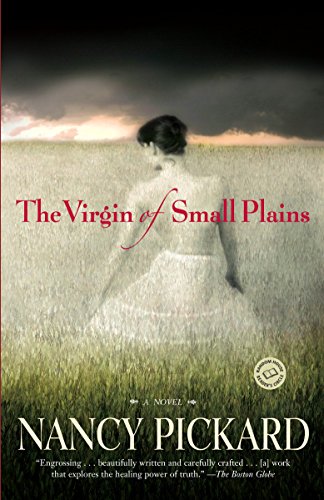 Imagen de archivo de The Virgin of Small Plains: A Novel a la venta por Gulf Coast Books